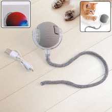 Glow Tail Cat Chase Ball